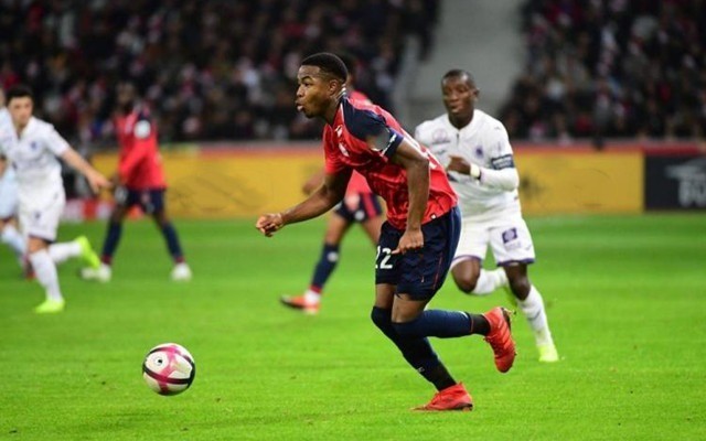 在南美赛场 在南美赛场