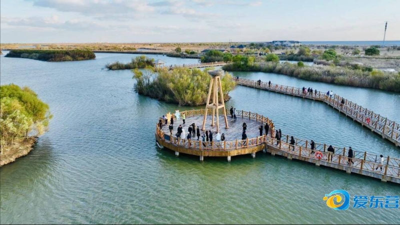 他们有着丰 他们有着丰