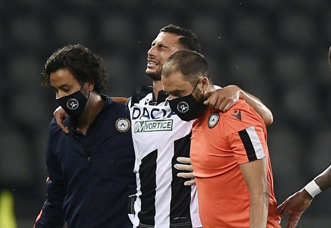 母哥和替补 母哥和替补