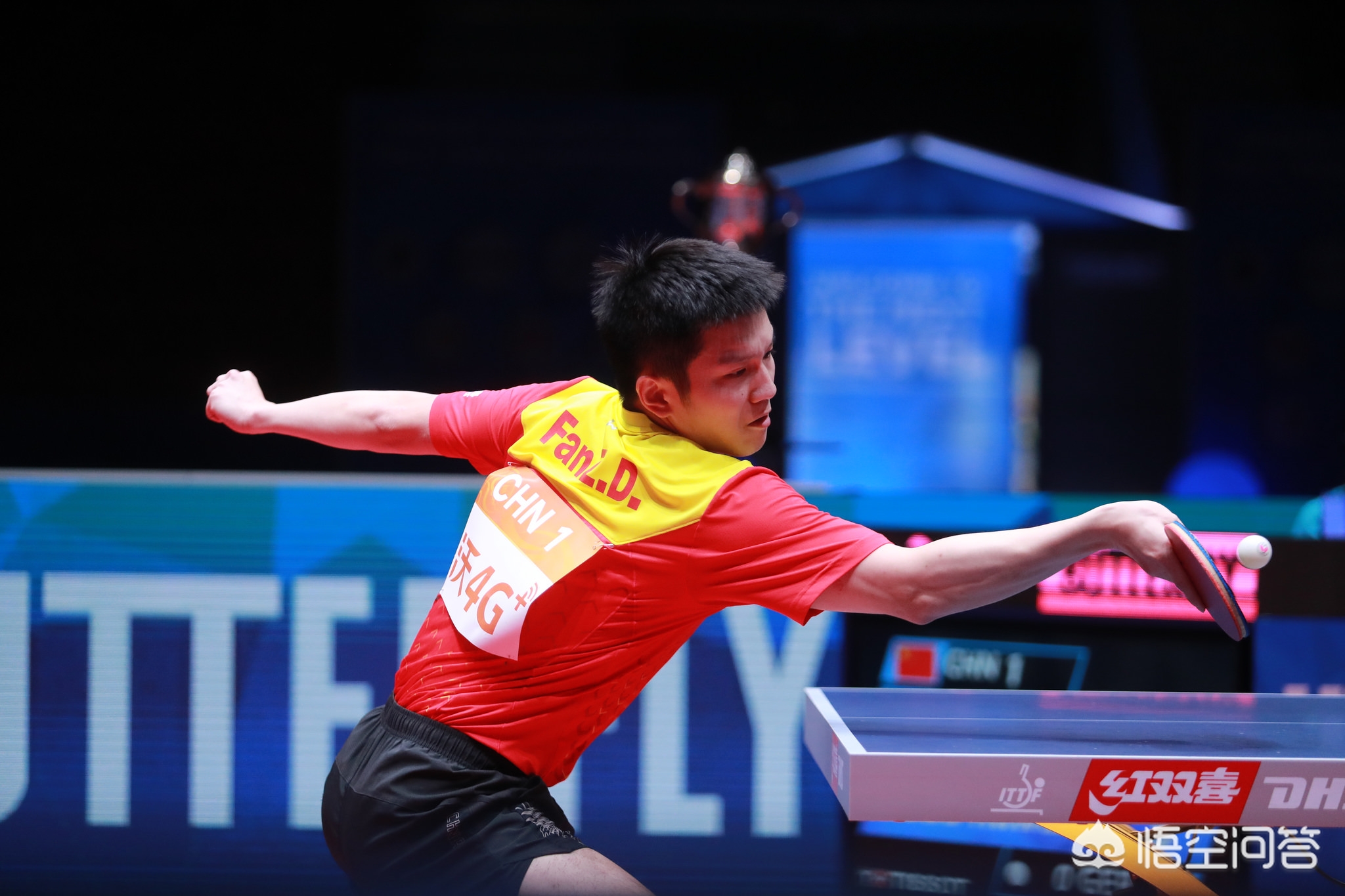 技术动作和 技术动作和